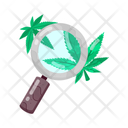 پیش‌نمایش فایل cannabis-search-11467244 از پک علف هرز (ماریجوانا)
