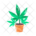 پیش‌نمایش فایل cultivating-cannabis-11467178 از پک علف هرز (ماریجوانا)