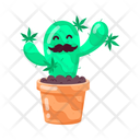 پیش‌نمایش فایل stoner-cactus-11467173 از پک علف هرز (ماریجوانا)
