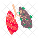 پیش‌نمایش فایل weed-lungs-11467210 از پک علف هرز (ماریجوانا)