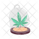 پیش‌نمایش فایل weed-preservation-11467219 از پک علف هرز (ماریجوانا)