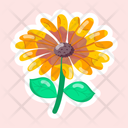 پیش‌نمایش فایل african-daisy-11483195 از پک گل