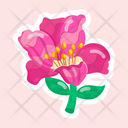 پیش‌نمایش فایل amaryllis-11483188 از پک گل