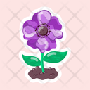 پیش‌نمایش فایل anemone-coronaria-11483149 از پک گل