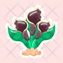 پیش‌نمایش فایل arum-palaestinum-11483242 از پک گل