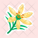 پیش‌نمایش فایل autumn-zephyrlily-11483232 از پک گل