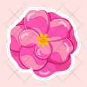 پیش‌نمایش فایل camellia-japonica-11483147 از پک گل