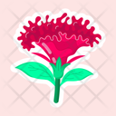 پیش‌نمایش فایل celosia-11483191 از پک گل