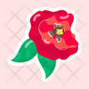 پیش‌نمایش فایل common-poppy-11483133 از پک گل
