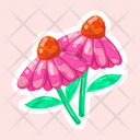 پیش‌نمایش فایل coneflowers-11483176 از پک گل