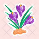 پیش‌نمایش فایل crocus-11483192 از پک گل