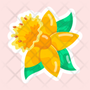 پیش‌نمایش فایل daffodil-11483151 از پک گل
