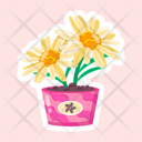 پیش‌نمایش فایل daisy-pot-11483253 از پک گل