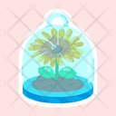 پیش‌نمایش فایل decorative-flowers-11483264 از پک گل