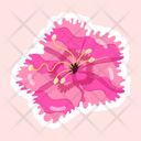 پیش‌نمایش فایل dianthus-11483208 از پک گل