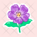 پیش‌نمایش فایل geranium-wallichianum-11483178 از پک گل