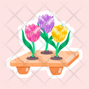 پیش‌نمایش فایل hanging-houseplant-11483270 از پک گل