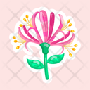 پیش‌نمایش فایل honeysuckle-11483179 از پک گل