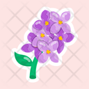 پیش‌نمایش فایل hyacinthus-orientalis-11483138 از پک گل