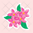 پیش‌نمایش فایل jasminum-beesianum-11483143 از پک گل