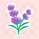 پیش‌نمایش فایل lavender-11483140 از پک گل