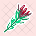 پیش‌نمایش فایل leucadendron-11483212 از پک گل