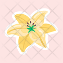 پیش‌نمایش فایل lily-11483125 از پک گل