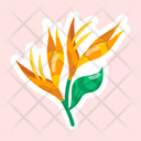 پیش‌نمایش فایل lotus-berthelotii-11483216 از پک گل