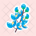 پیش‌نمایش فایل lupinus-texensis-11483207 از پک گل