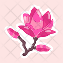 پیش‌نمایش فایل magnolia-liliiflora-11483181 از پک گل