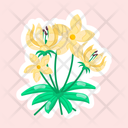 پیش‌نمایش فایل moringa-flower-11483259 از پک گل