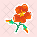 پیش‌نمایش فایل nasturtium-11483183 از پک گل
