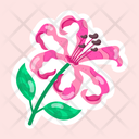پیش‌نمایش فایل nerine-11483215 از پک گل