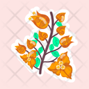 پیش‌نمایش فایل orange-bougainvillea-11483171 از پک گل