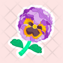 پیش‌نمایش فایل pansy-11483145 از پک گل