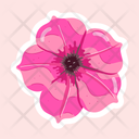 پیش‌نمایش فایل pink-petunia-11483161 از پک گل