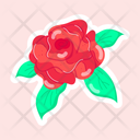 پیش‌نمایش فایل rose-11483124 از پک گل