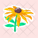 پیش‌نمایش فایل rudbeckia-11483170 از پک گل