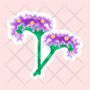 پیش‌نمایش فایل sea-lavender-11483219 از پک گل