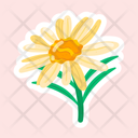 پیش‌نمایش فایل shasta-daisy-11483197 از پک گل
