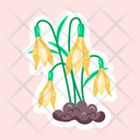 پیش‌نمایش فایل snowdrop-plant-11483186 از پک گل