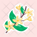 پیش‌نمایش فایل stephanotis-11483200 از پک گل
