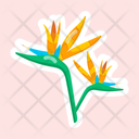 پیش‌نمایش فایل strelitzia-reginae-11483189 از پک گل