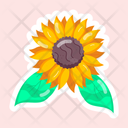 پیش‌نمایش فایل sunflower-11483128 از پک گل