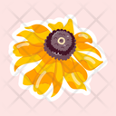 پیش‌نمایش فایل susan-flower-11483190 از پک گل