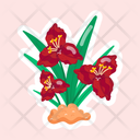 پیش‌نمایش فایل tradescantia-rubra-11483224 از پک گل