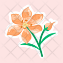 پیش‌نمایش فایل tritonia-crocata-11483233 از پک گل