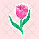 پیش‌نمایش فایل tulip-11483127 از پک گل