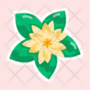 پیش‌نمایش فایل water-lily-11483168 از پک گل