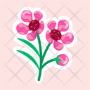 پیش‌نمایش فایل waxflower-11483204 از پک گل